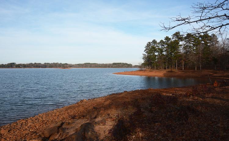 Sunshot by Michael Hall - The shoreline of Hart State Park, which has operated as Hart State Recreation Area since 2009, is shown. The park is set to become Hartwell Lakeside after the city of Hartwell ended a nearly 10-year effort to get a lease for the park from the U.S. Army Corps of Engineers.