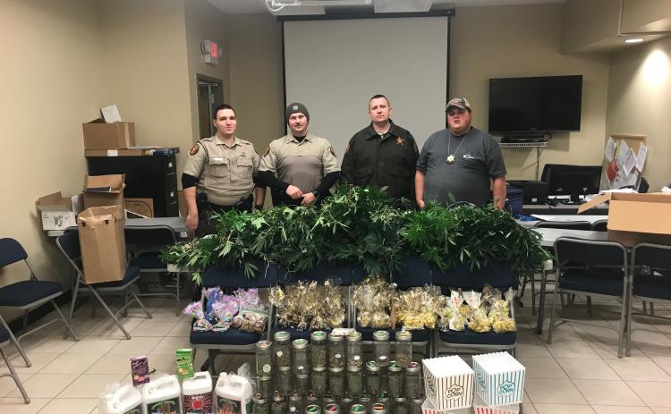 Sunshot from file — Hart County Sheriff’s deputies Luke Bennett, Michael Davis, Jared Tollinson and Capt. Kevin White pose for a photo with an array of marijuana plants and marijuana-related products allegedly being grown and manufactured at a house on Lanier Street in Hartwell.