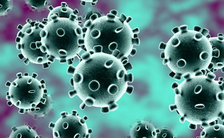 virus
