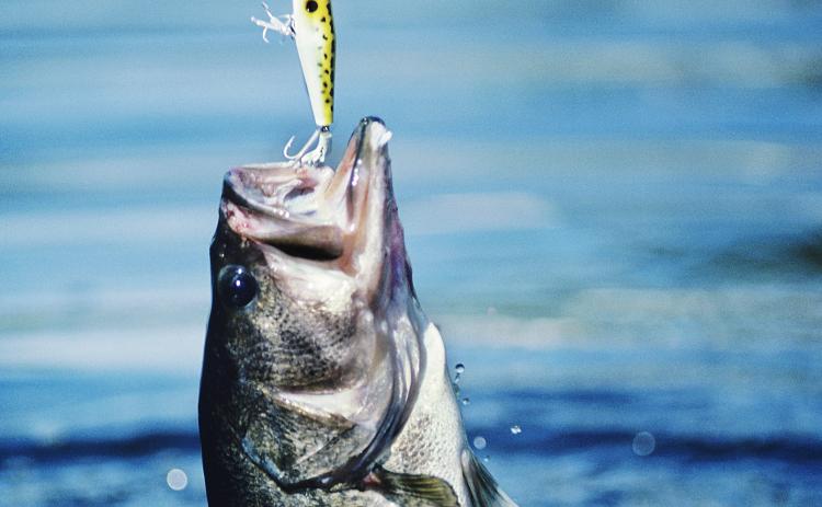 fishing