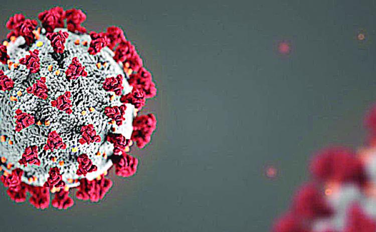 Hart sees virus cases increase, 34 currently active