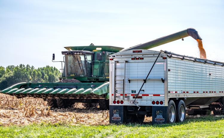 Sunshot from file by Bill Powell - Hart County farmer David King and his crew harvest corn on Labor Day in Hart County.