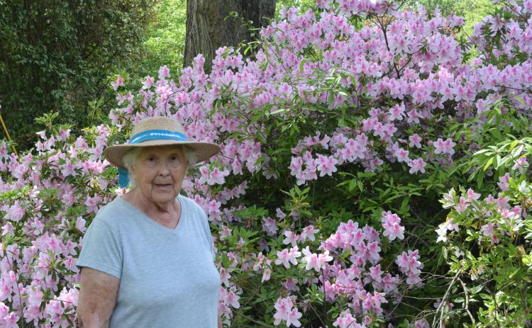 Drew Dotson/The Hartwell Sun Marti Cox poses in front of one of the 300 azaleas shrubs around her home on Benson Street.