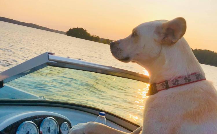 Reed Creek resident Ed Blackburn won the Community Newspapers Inc. Lake Living cover photo contest for this photo of his canine friend Lincoln at the helm of his boat.