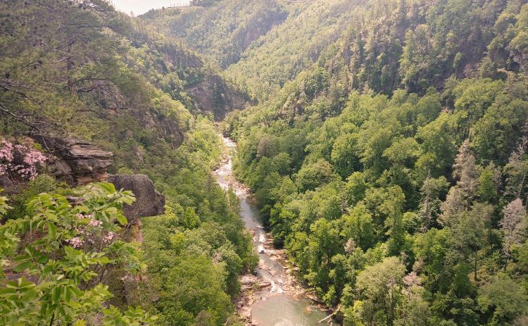 Dan Hunt/The Hartwell Sun - A view from above the Tallulah Falls Gorge.