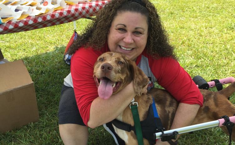 Josh Brannen/The Hartwell Sun - Animal rescue employee Stefanie Sims and her adoptable friend Lucy.