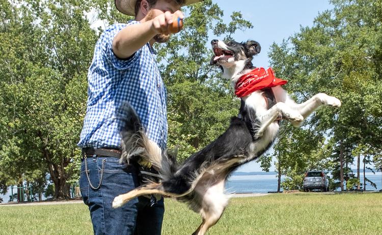 Bailey, who won Best in Show on Saturday, shows off her athletic ability with owner Michael Ruff.