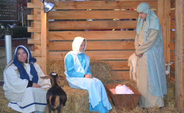 Living Nativity participants assume their spots at the annual Christmas tree lighting held Nov. 22.