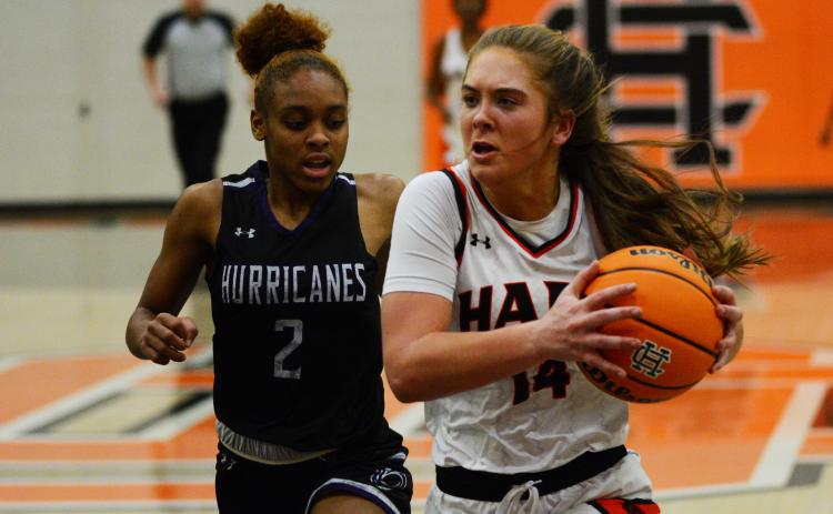 Dakota Phillips flies past the Monroe Area defender on Friday, Jan. 28.