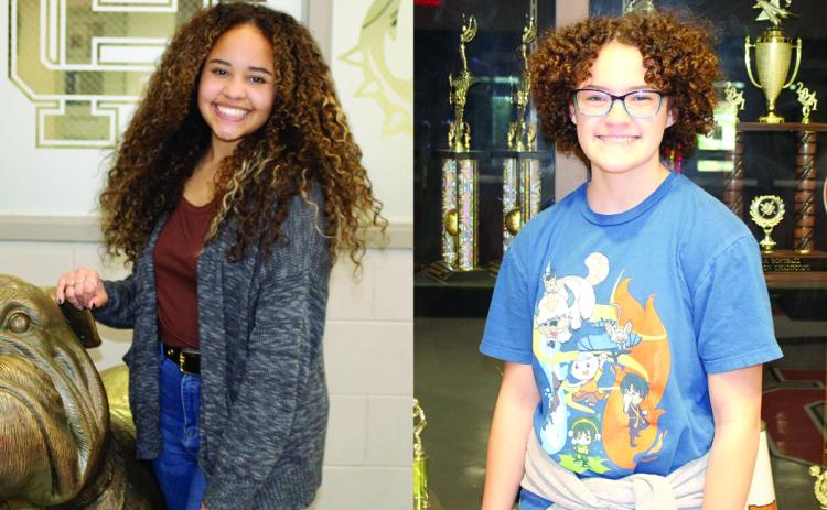 Hart County High School 10th grader Trinati Pinkston, left, and Hart County 7th grader Katie Ripley have been selected as statewide winners of the Young Georgia Authors competition.