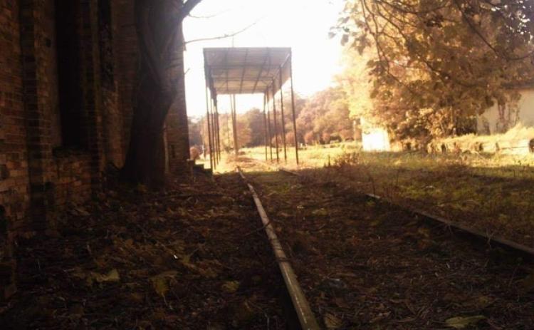 Local medium Chip Pettys said he heard chickens clucking at the above Hart County site which was formerly an eggery.