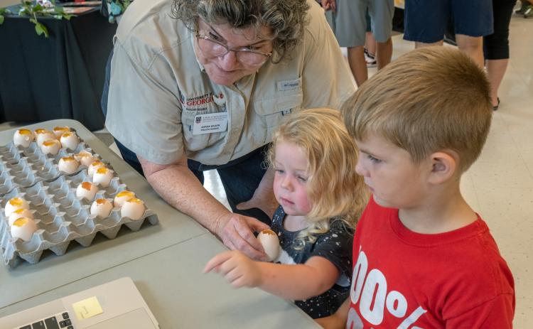 Dr. Jeanna Wilson, Professor in the Department of Poultry Science at the University of Georgia, demonstrates the fertilization of chicken eggs which leads to a chicken hatching 21 days later. Hadley Simpson, 3, and Hudson Saylors, 5, get a free lesson.