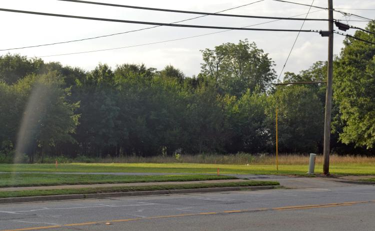 The new MedLink facility is proposed for the plot of land seen above, adjacent to Fairview Ave. along Benson Street.