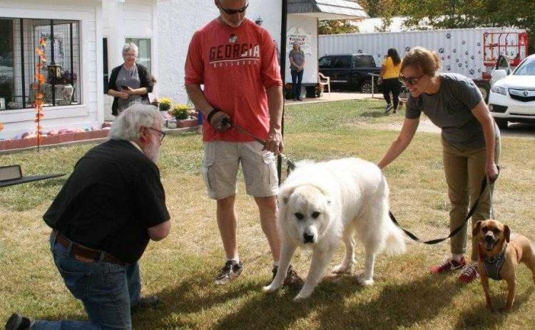 Fr Reid Hamilton blesses a couple dogs at the Blessing of the Animals on Saturday.