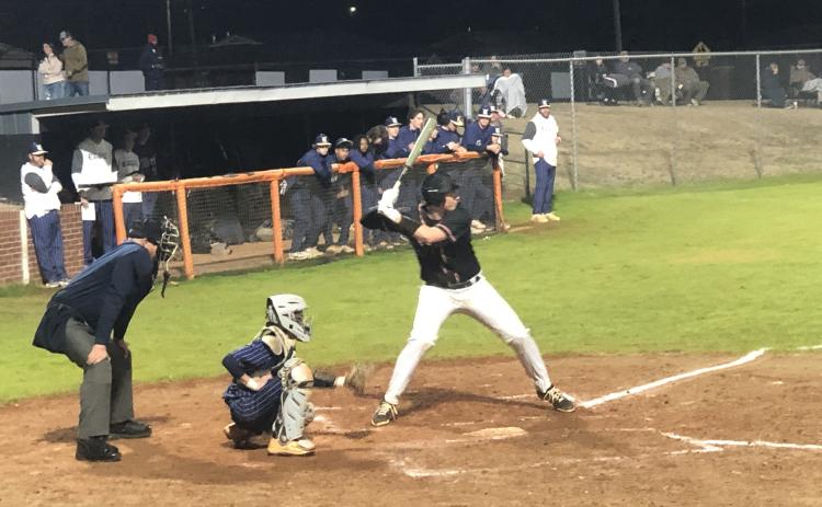 Riley Posey steps to the plate in the 7-4 loss to Elbert.