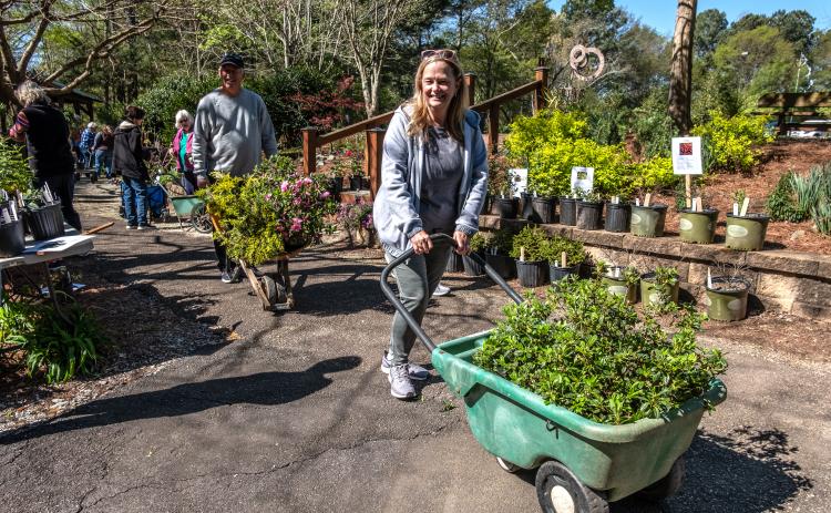 The annual Hart County Botanical Gardens plant sale will take place Saturday, April 15 from 9 a.m. to 3 p.m. variety of plants, shrubs, natives, perennials, and annuals, including some unusual and difficult to find offerings will be featured. This year a sizable selection of transplants from Friends of the Garden’s yards will be offered at very reasonable prices.