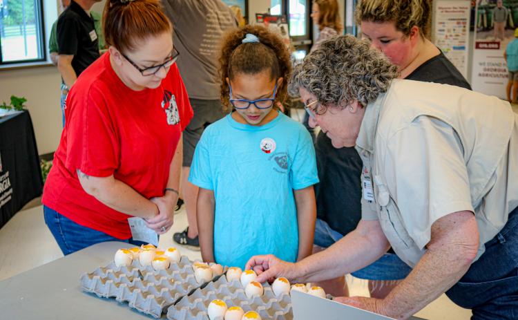 UGA Professor Jeanna Wilson, right, demonstrates the embryonic progression of fertilized chicken eggs during a previous year’s Northeast Georgia Ag Expo.