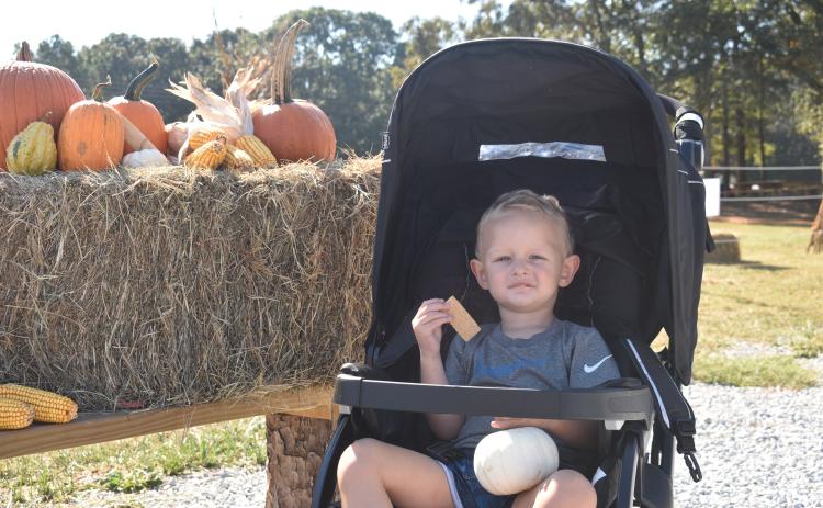 Anson Reno picked out his very own pumpkin during the Fall Harvest Festival at The Big Hart Farm.