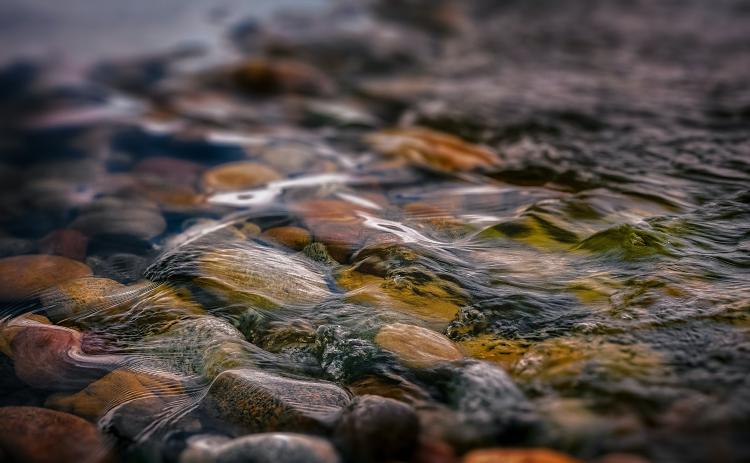 Photo by Robert Zunikoff