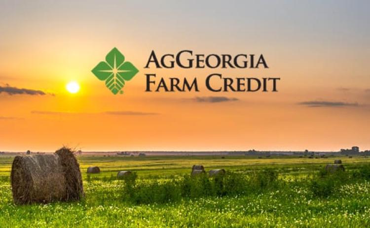 AgGeorgia Farm Credit