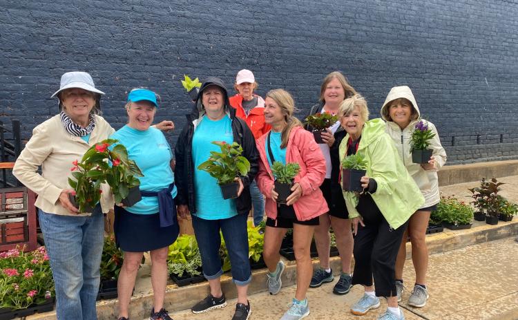 Hartwell Main Street volunteers plant flowers and other shrubbery to beautify the downtown area.