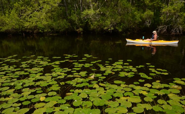 From small flatwater streams in South Georgia to raging whitewater runs in North Georgia, the public’s ability to access and recreate on the state’s streams could be determined by the recommendations made by the special House Study Committee on Navigable Streams.