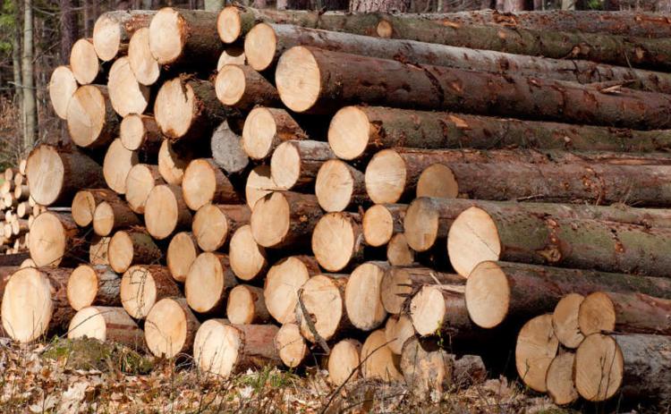 The demand for timber is on the decline. As a result, prices for wood are down to levels not seen since the 1970s.