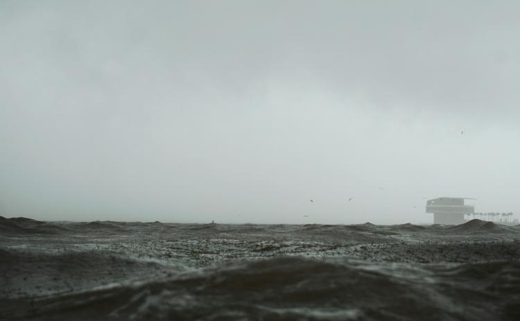 Photo by The Tampa Bay Estuary Program