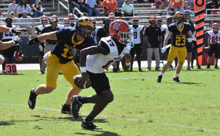 Sophomore quarterback Kurston Curry scrambles out of the pocket in the 43-21 loss to Prince Avenue Christian Sept. 28. Photo by Stuart Steele/The Oconee Enterprise