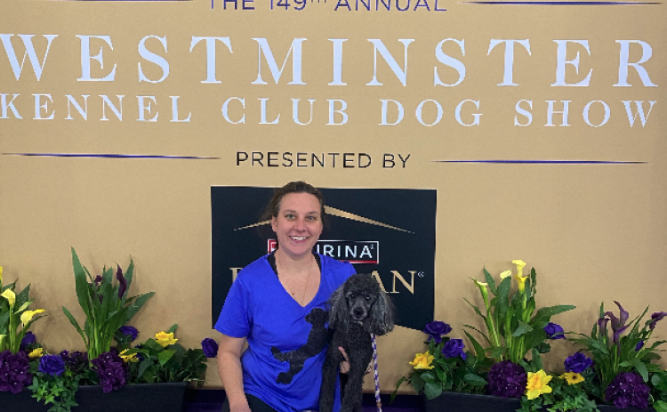 JohnieSue Thurman, pictured with her dog, Finn, have had the opportunity to compete at the Westminster Kennel Club Dog Show not once, but twice. Finn has achieved a double qualifying run during both shows, which Thurman said is the highest achievement.