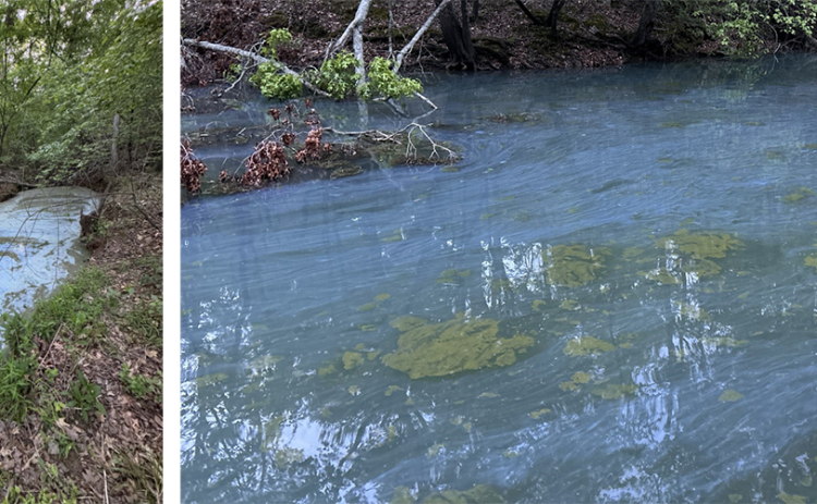 According to an Algal Bloom Monitoring map (left) from the South Carolina Department of Environmental Services, the entirety of Lake Hartwell is under an “HAB Watch” after a harmful algal bloom was confirmed in several locations on the South Carolina side of the lake. The square shapes on the map represent areas with “HAB reported sightings.” Right, HAB can appear like bright green spilled paint or blue-green discoloration of the water. (Photo courtesy of the South Carolina Department of Environment)
