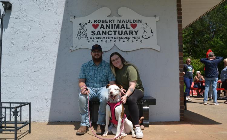 TeeChee, a beloved rescue at the Hart County Humane Society, finally found her “fur-ever” home with new owners Levi and Kaitlin Owens May 4. The humane society threw TeeChee and her new owners an “Adoption Paw-ty” to celebrate. (Photo/Adriana Cascio)
