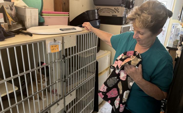 The Hart County Humane Society has been overwhelmed with over 200 cats this kitten season, and is no longer able to help rescue any animals as of press time Wednesday. Volunteer Donna Madkiff urges the public to consider volunteering, fostering or adopting and to spay/neuter their animals.