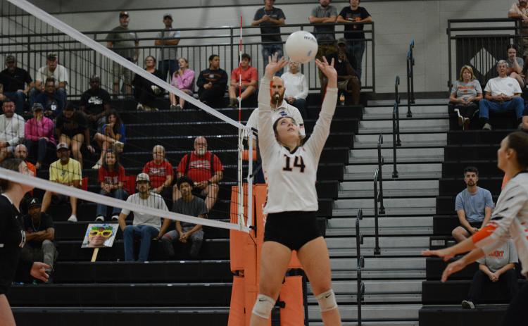 Rising junior Josee Fleming setting the ball in a match in 2024. (Photo/Benjamin London)