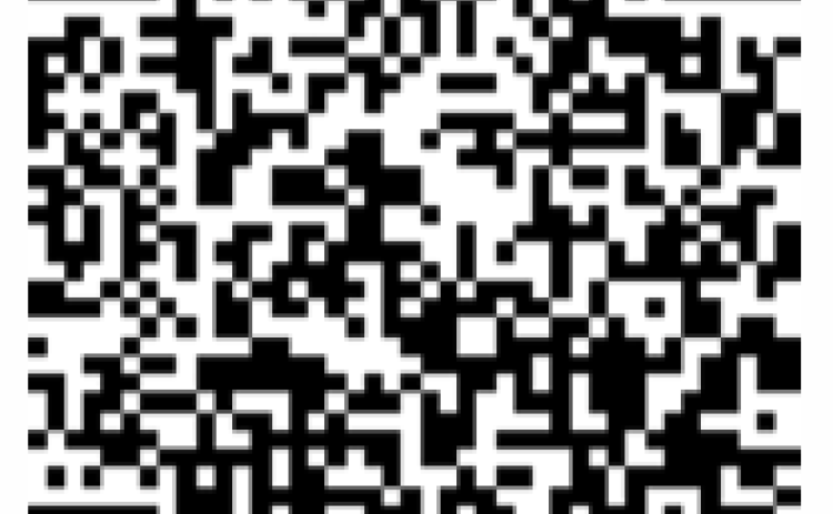The online survey can be found by scanning the QR code. 