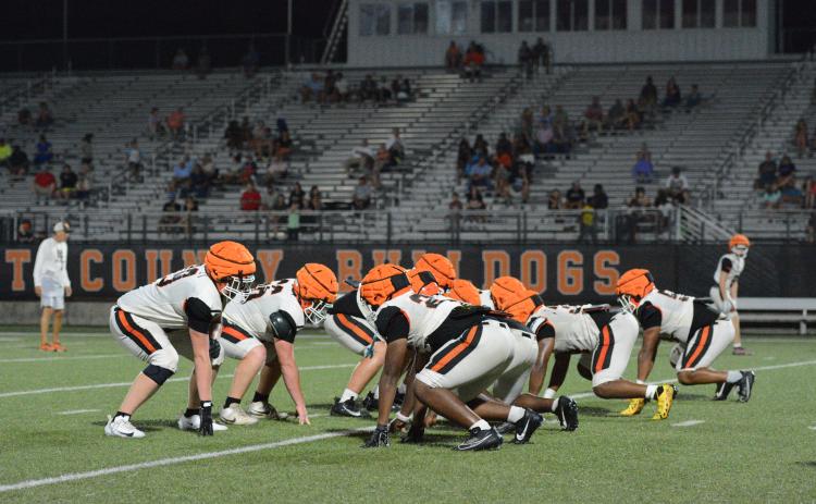 Bulldog Nation came out to Herndon Stadium July 30 to get a sneak peek of what the Hart County High School and Middle School Bulldogs would look like this upcoming season. All fans who attended brought either powdered laundry detergent or cases of water bottles for the teams to use during the season. HCHS now prepares to host Oglethorpe County Aug. 7 for the first of two scrimmages with kickoff set for 7:30 p.m. Photo by Benjamin London. 
