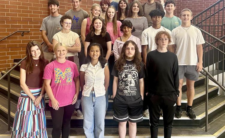 Over two dozen students from Hart County High School were recognized by the College Board National Recognition Program, and many were named AP Scholars. Several of the students are pictured above. Photo submitted by Grayson Williams. 