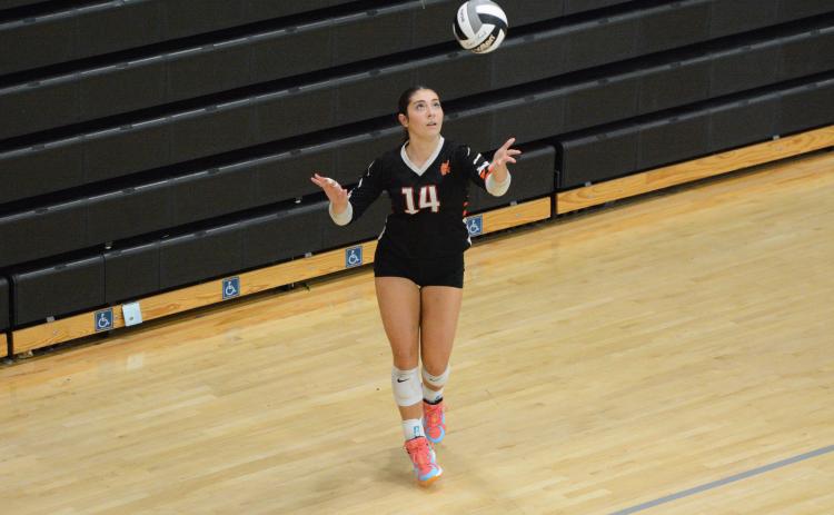Volleyball’s senior setter Josee Fleming earns Athlete of the Week. Photo by Benjamin London.