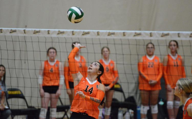 Senior setter Josee Fleming returns a serve in the 2-0 loss to Morgan County, as the Lady Dogs also suffered a 2-0 loss to Hebron at Emmanuel University Sept. 22. Photo by Benjamin London. 