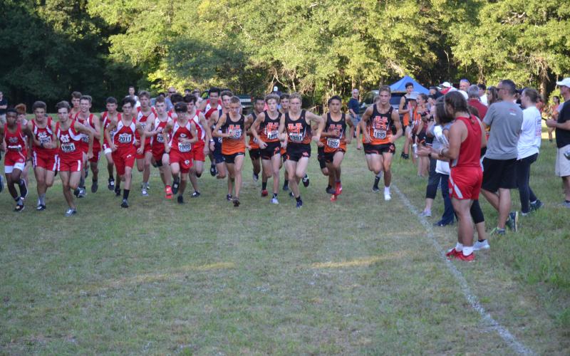 Sunshot by Peggy Vickery — Hart County runners, right, leave the starting line during a cross country meet last week.