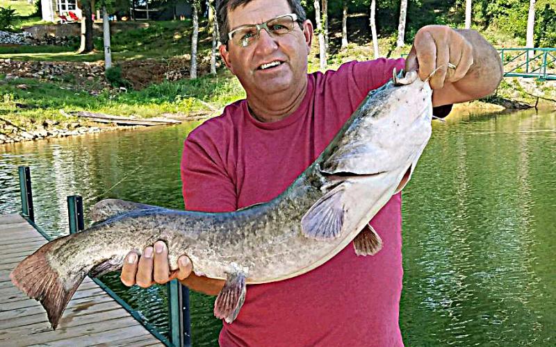 Frank Gunder reeled in this 15-lb channel catfish from his dock in a cove not far from Hartwell Marina on July 23. Submit your latest catch to sports@thehartwellsun.com.