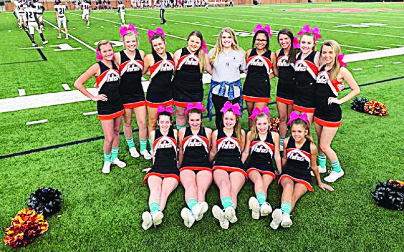 Photo submitted — The Hart County junior varsity cheerleading squad poses for a photo showing off their blue socks with Courtney Turner, center, to raise awareness for Dysautonomia.