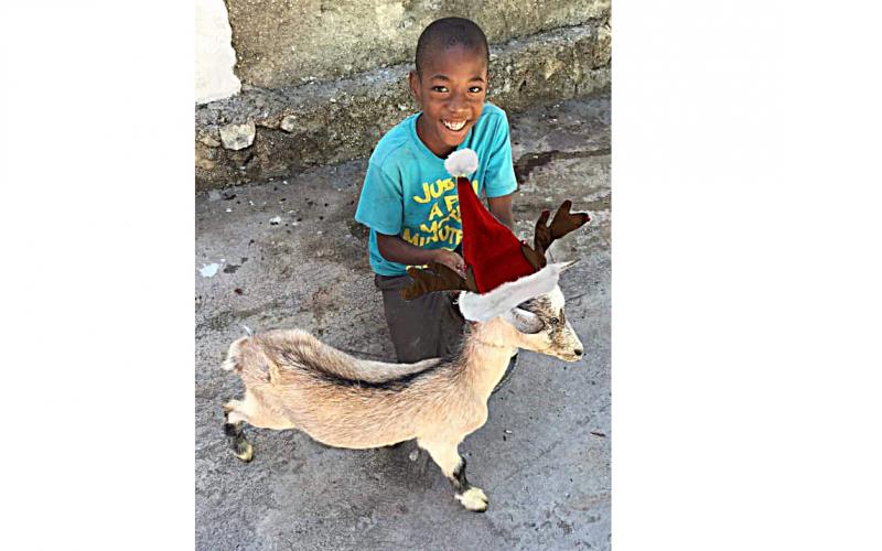Photo submitted — A Haitian child poses for a photo with his goat that wears a Santa hat. The goat was provided for his family by the Hart County based Acts 1:8 Mission Ministry.