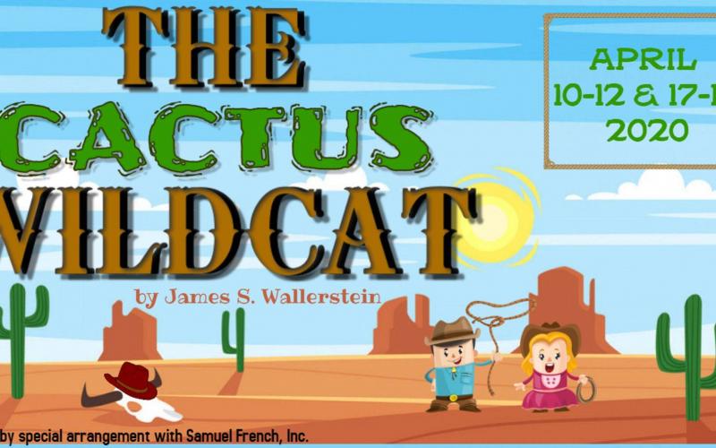 Hart County Community Theatre will host auditions for the kids-only cast of “The Cactus Wildcat”