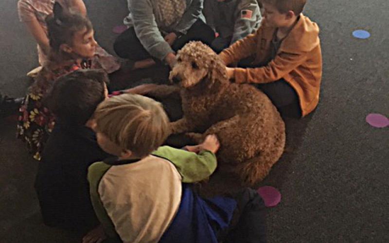 Photo submitted - Teacher Meghan Harris, center top, sits with students and Penelope the therapy dog recently at Hartwell Elementary School. 