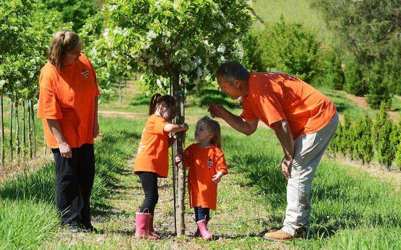 Sunshot by Michael Hall — Gary Waters, right, helps his granddaughters, Kensie, middle left, and Tenley, middle right, tie a flag around the trunk of a fringe tree as Teresa Waters looks on. 