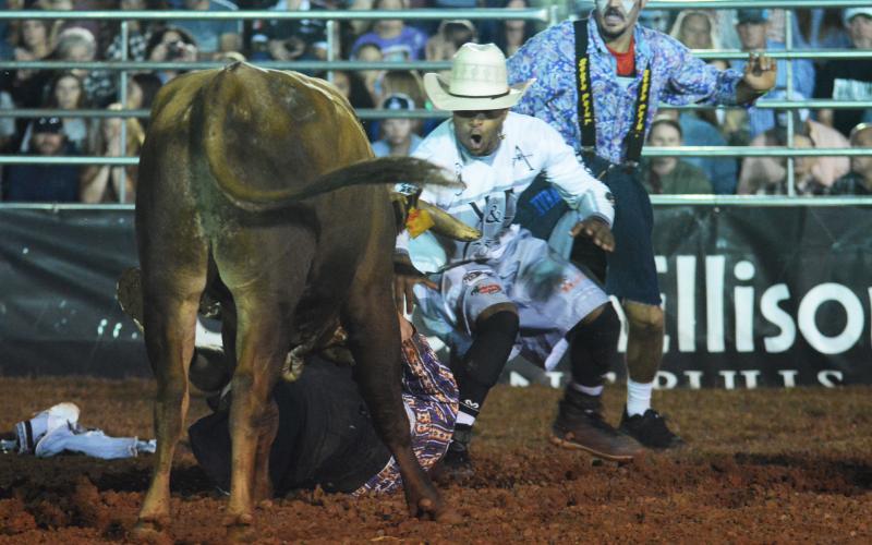 Dekevis Jordan, of Madill, Okla., and Sage Seay, of Hackberry, La., try to distract a bull that has knocked down Tyler Washburn, of White Cloud, Mich. 