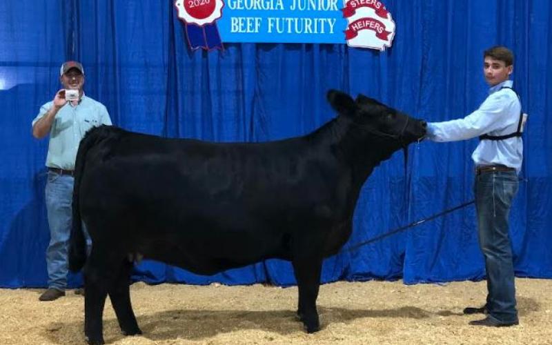Trey Chafin was named ninth-grade showmanship champion at the Georgia Junior Beef Futurity competition in Perry. 