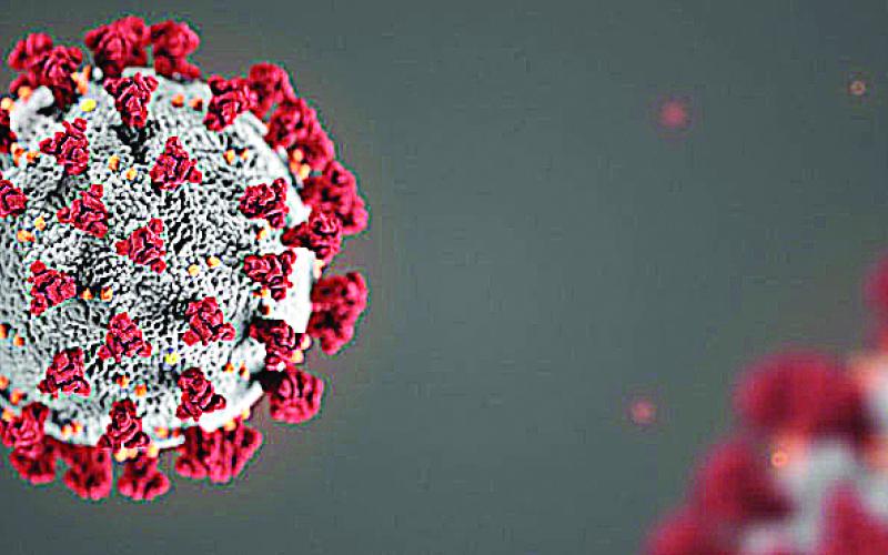 Hart sees virus cases increase, 34 currently active