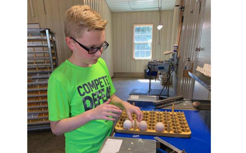 Photo submitted Middle Schooler Hudson Milner sorts and stacks eggs in his family’s laying house in Hart County. Hudson has worked in the houses for his Supervised Agricultural Experience, part of how FFA teaches students about agricultural through hands on methods.